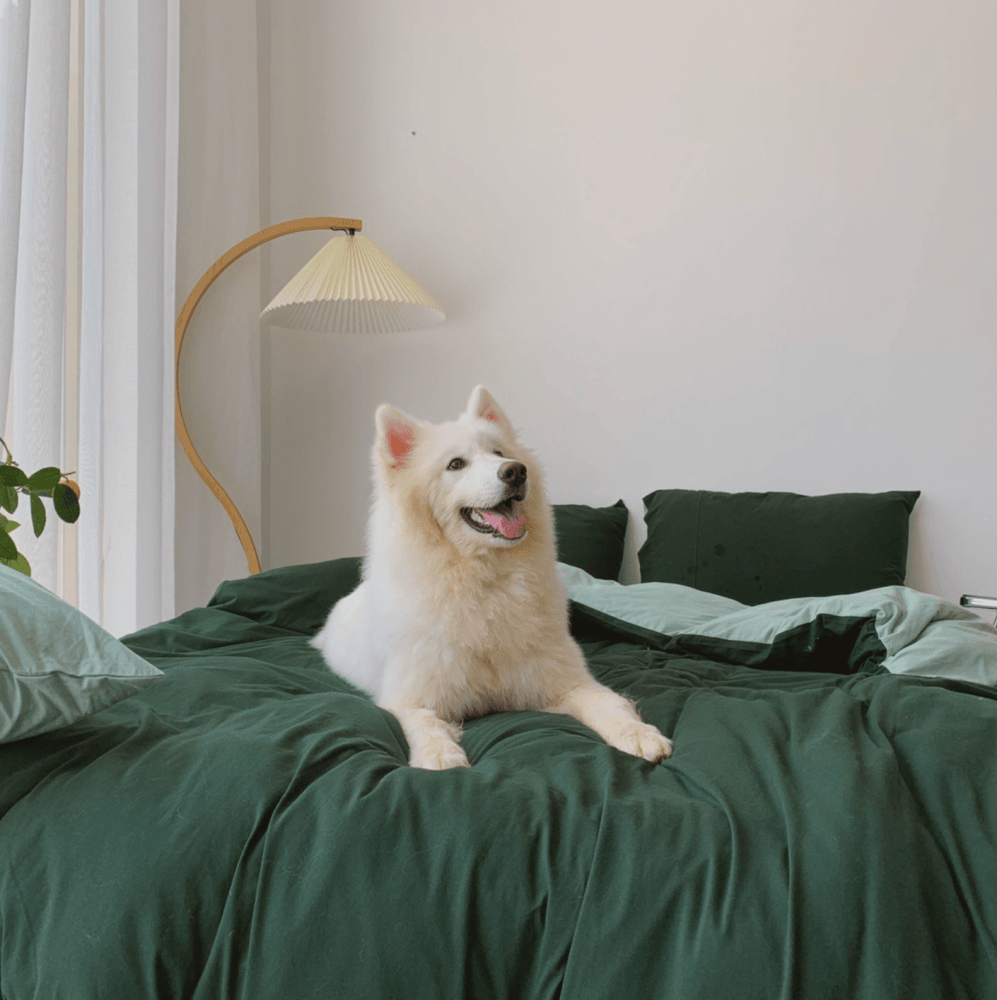 Duo Bed Sheet
