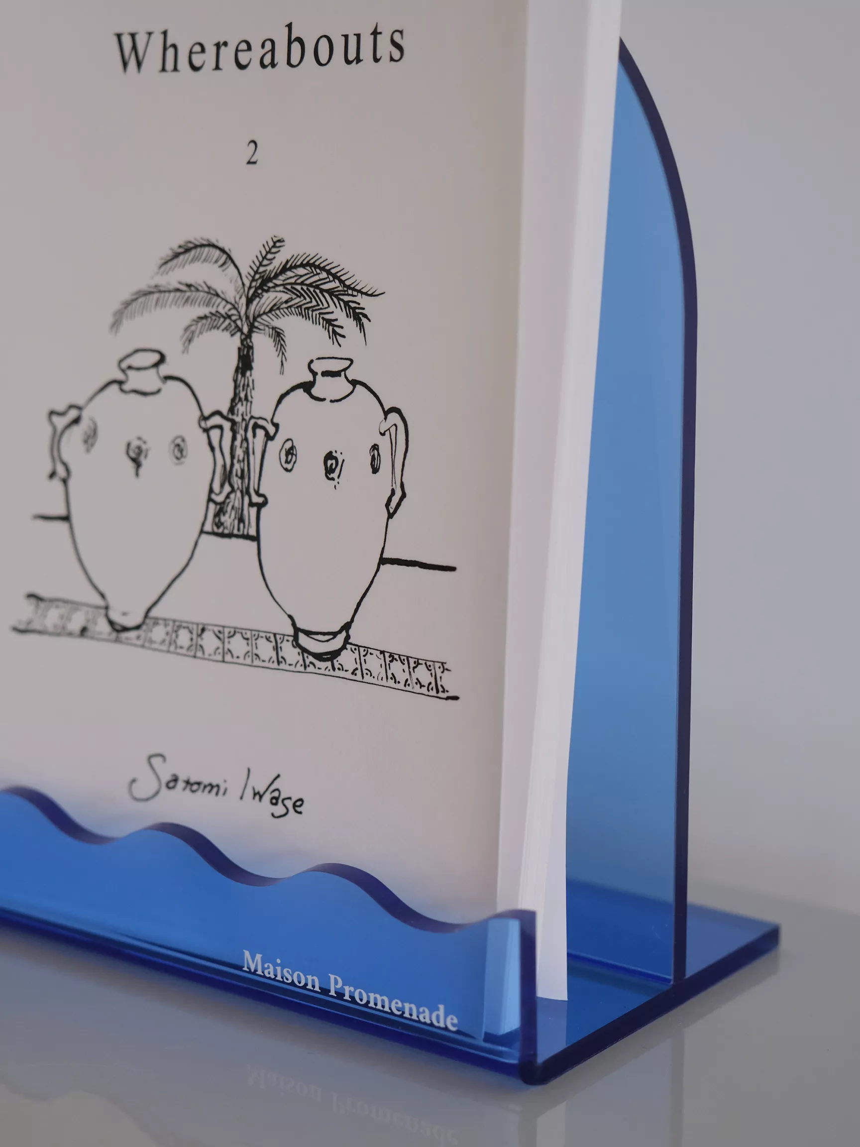 Blue Acrylic Book Shelf