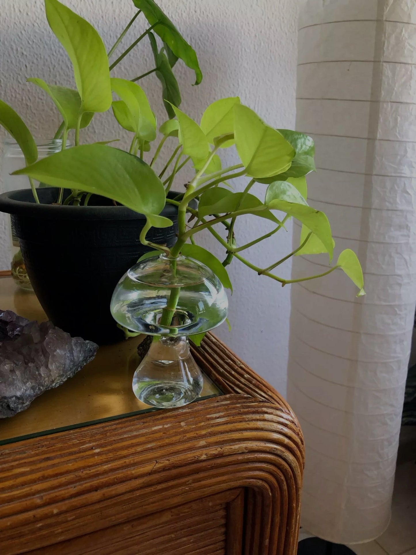 Mushroom Glass Vase