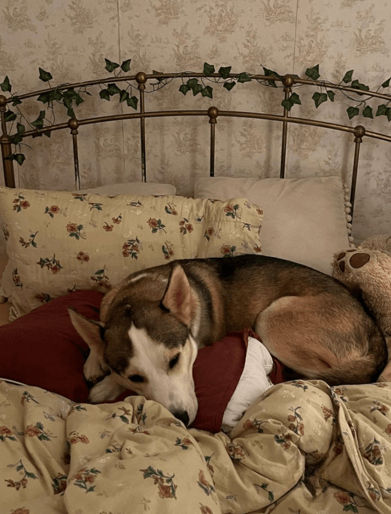 Vintage Inspired Floral Bedding Set / Brown + Beige